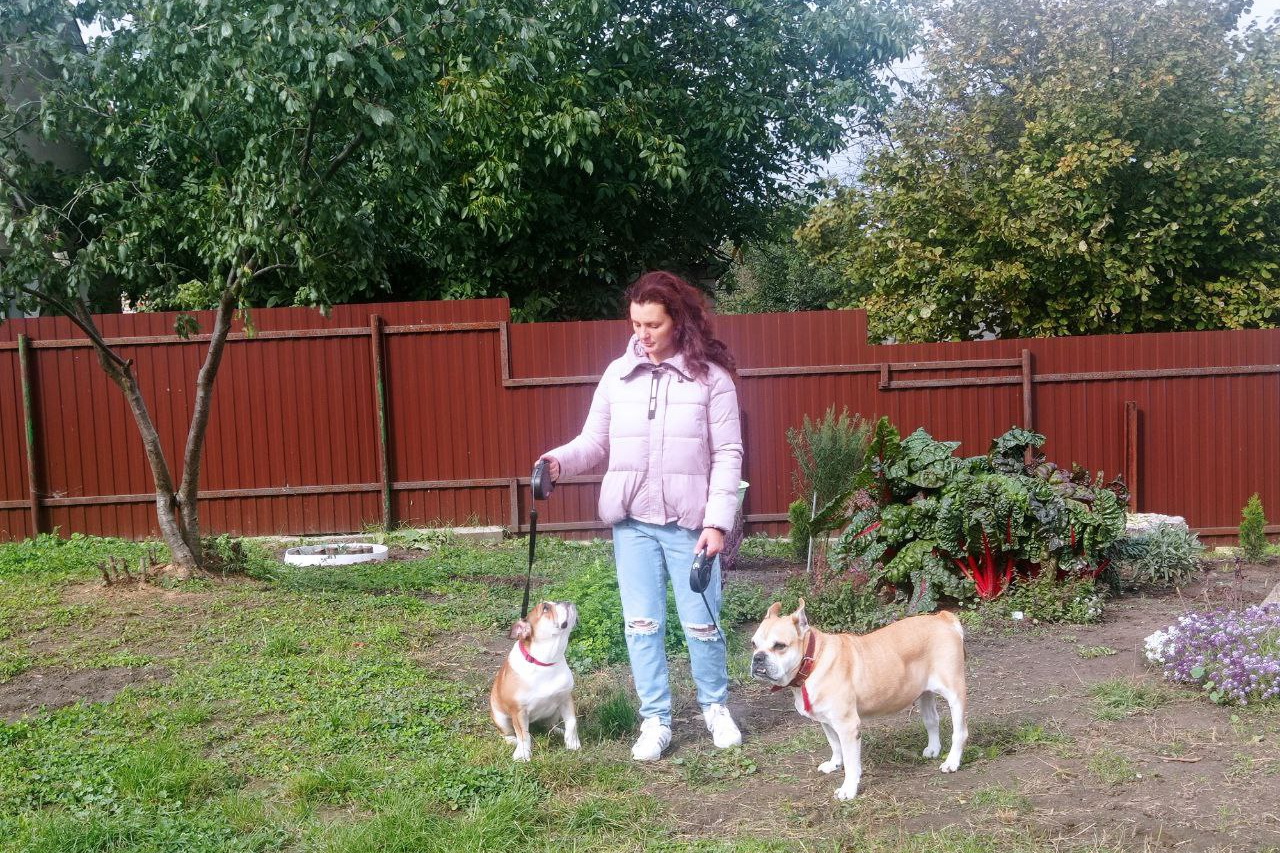 Гостиница для собак