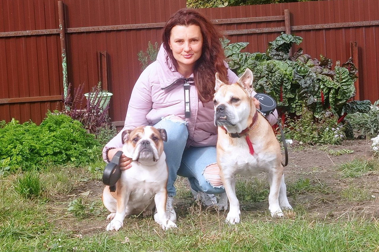 Гостиница для собак