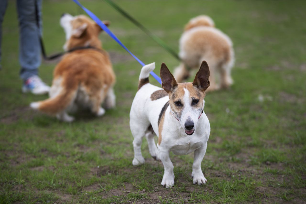 photo_2023-05-17_11-57-11