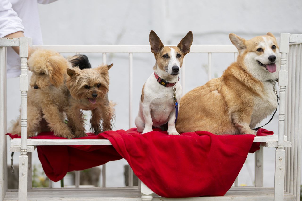 photo_2023-05-17_11-57-29