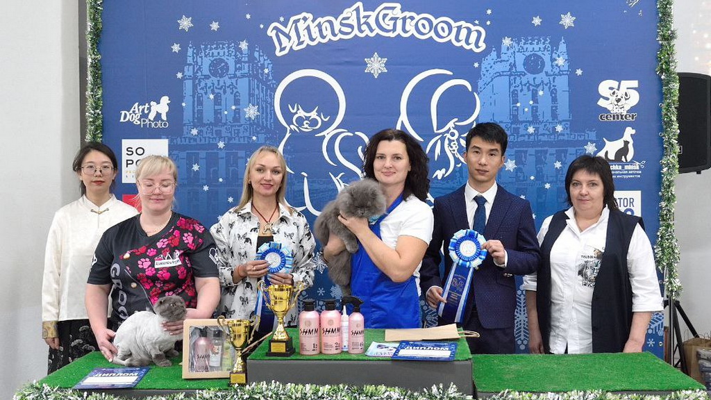 Победитель в номинации «Салонный груминг котов»