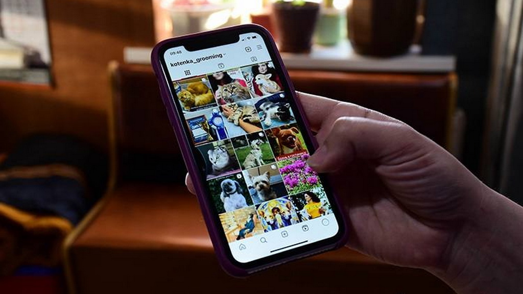 О консультациях по телефону